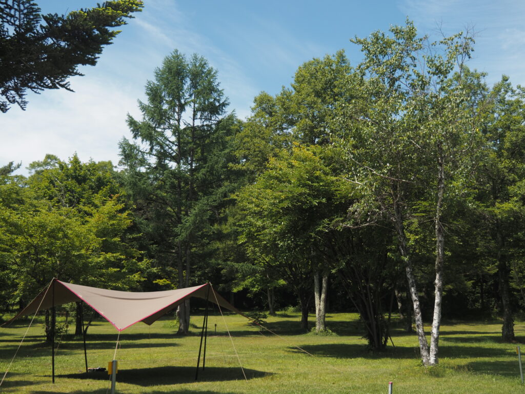 タープと芝生エリア